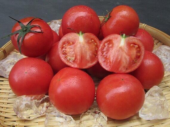 じっくりと糖分と養分を吸収した「くぼファーム」のフルーツトマト