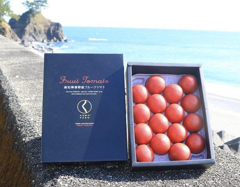 南国土佐の恵みをたっぷり受けた、濃厚なフルーツトマト