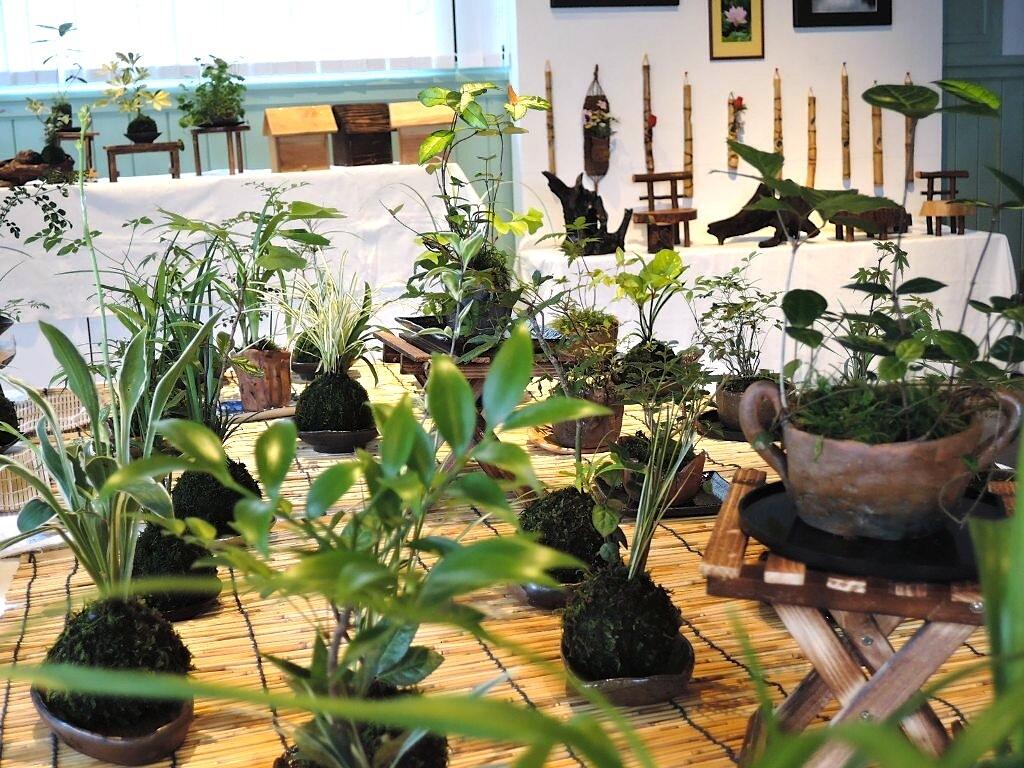 須崎市のまちをアート一色に染めるギャラリー