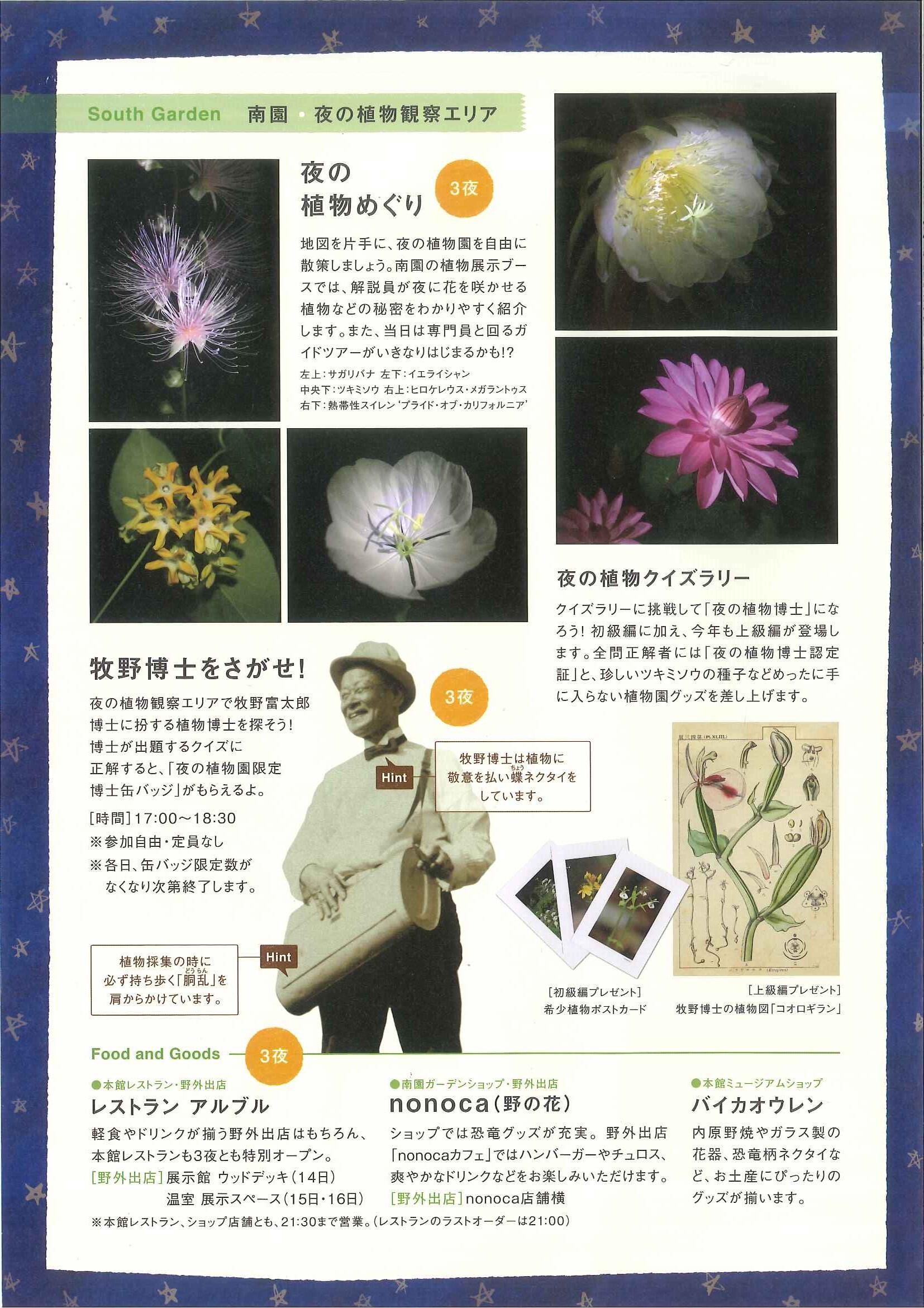 夜の植物園エリア紹介 高知県立牧野植物園