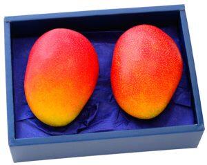 ツヤのある真っ赤な果皮