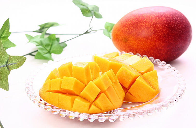 高知の特産品を取り揃える「四国健商」が厳選した完熟マンゴー