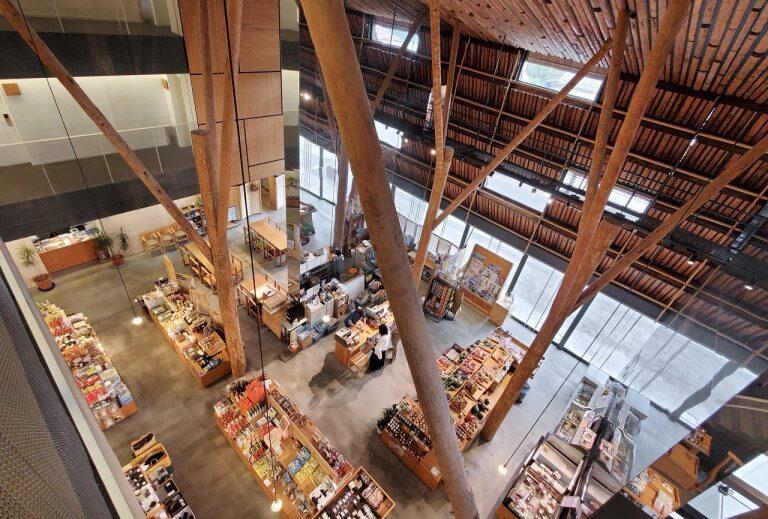 杉丸太の柱で森の中を演出した内観