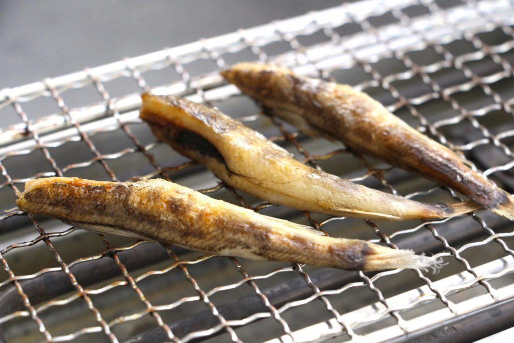 土佐メヒカリ 立て塩仕込み