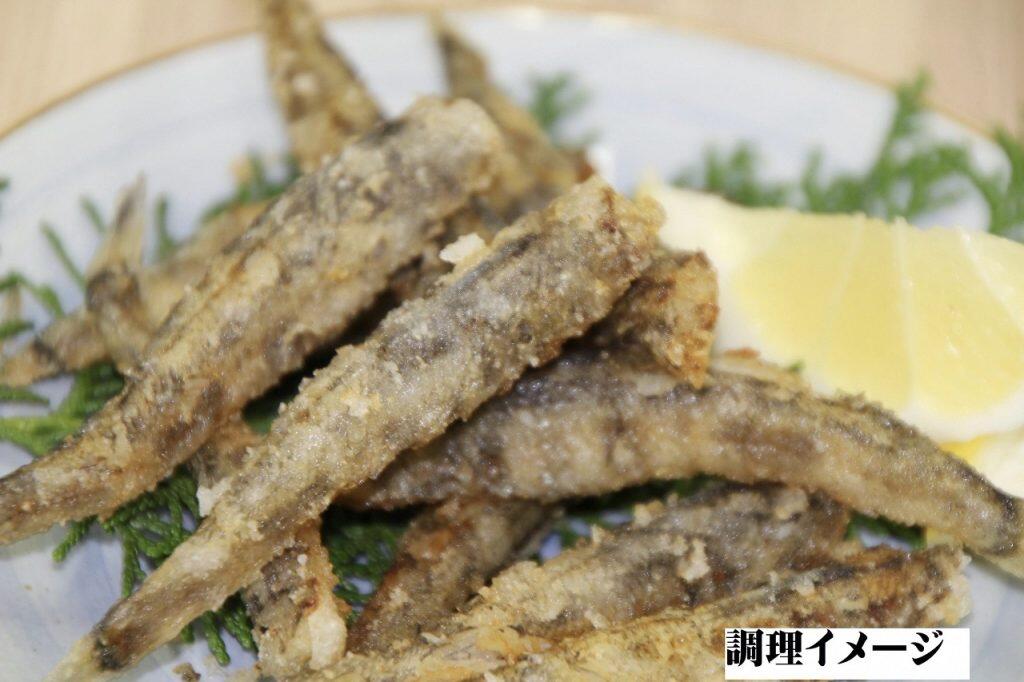 高知名物・土佐沖獲れの「目光り(アオメエソ)」