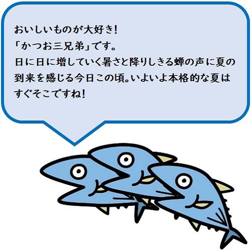 夏こそ食べたい!「海訪屋」厳選の干物と釜あげちりめん!
