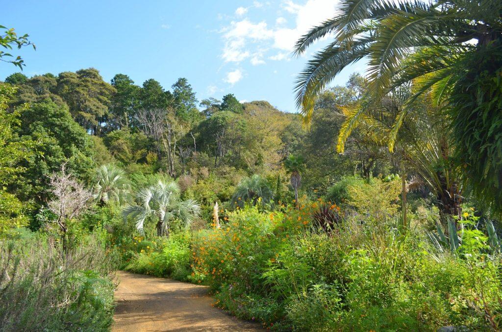 『北川村「モネの庭」マルモッタン』は、本家フランス・ジヴェルニーの「モネの庭」から正式にその呼称を許された、世界で唯一の庭園