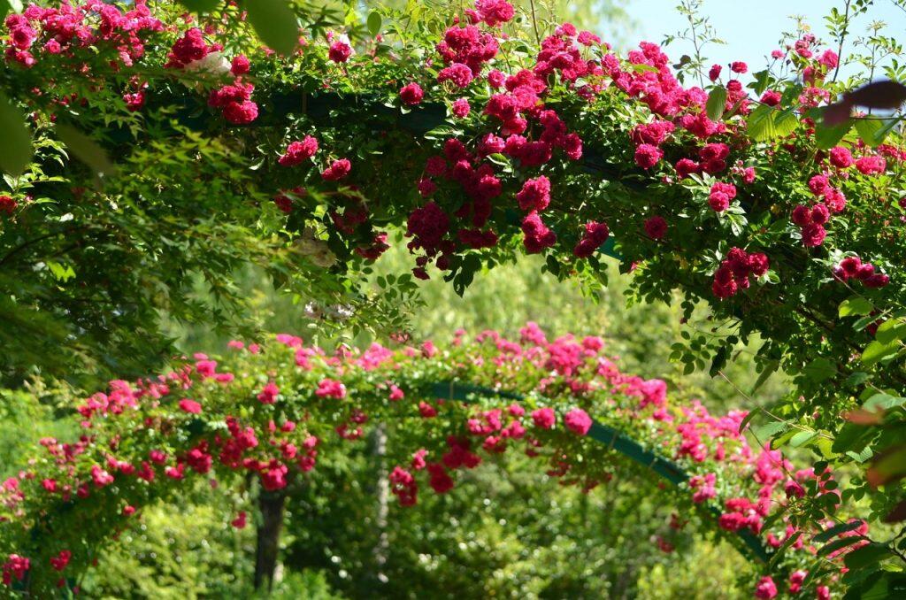 色とりどりの花々が画家のパレットを思わせる「花の庭」