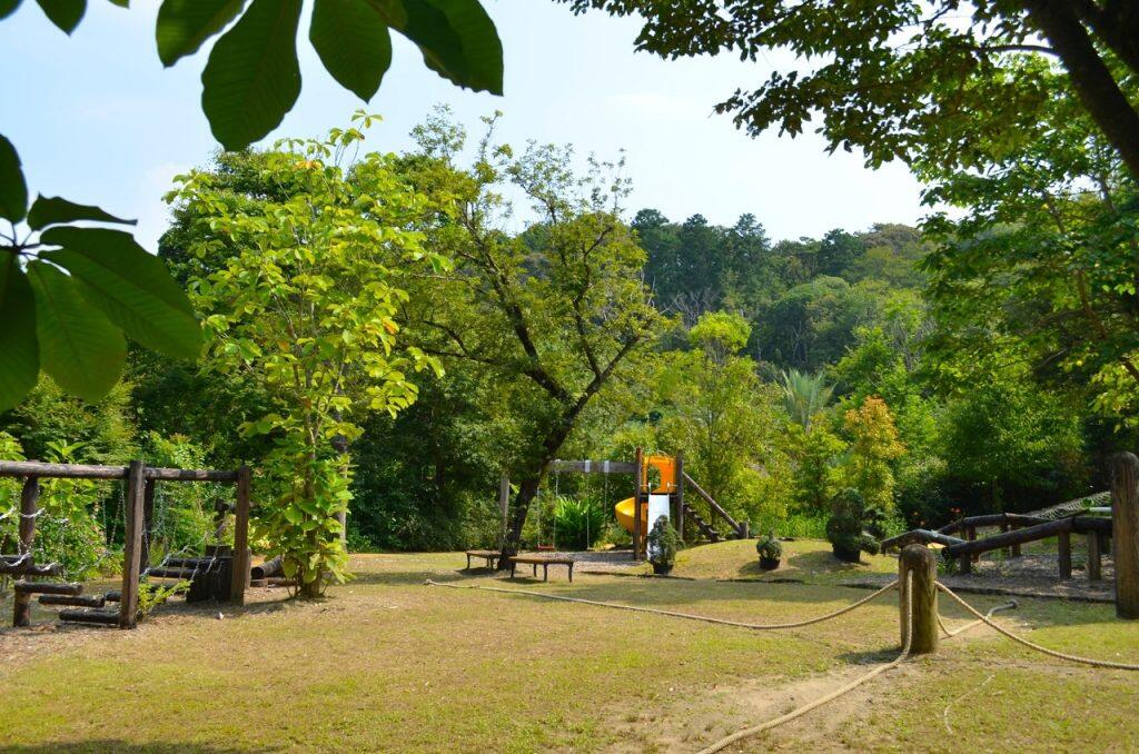 森の中をゆっくり散策できる「自然の森 遊歩道」