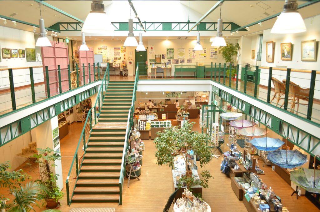 木材を使ったアスレチックなどを設けた「遊びの森」