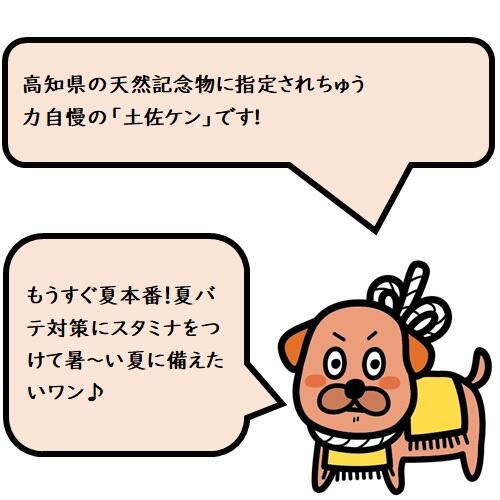 NEW OPEN！「鰻料理 むなぎん」の絶品蒲焼き