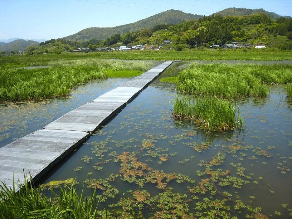 アメゴ釣り&つかみどりやカヌー体験、生き物との触れ合いコーナーなど、楽しいプログラムがてんこ盛り!