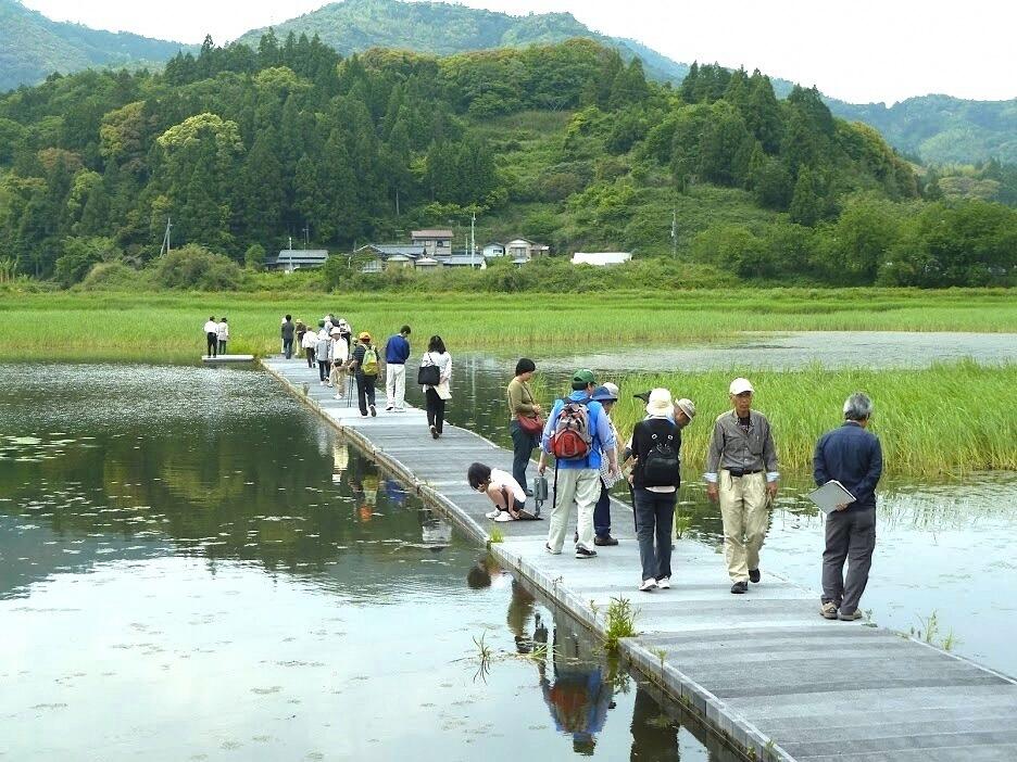 東京ドーム約3個分の大きな調整池「めだか池」を散策する「めだか池フットパス」は、ガイドさんとともに野鳥観察や自然体験を交えながら2時間程度ゆっくり、のんびり過ごせます。