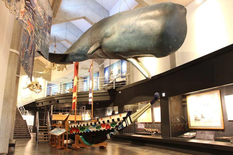 室戸とクジラの歴史を学べる体感型資料館「キラメッセ室戸 鯨館」