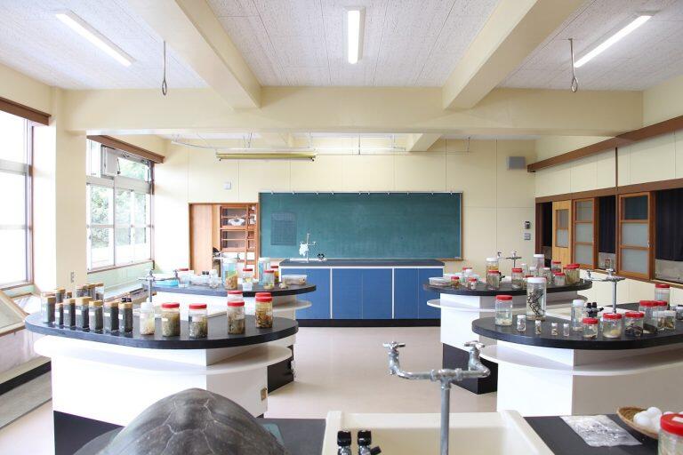 館内には、他にも学校机やイスが並べられた休憩スペース、ミンククジラの標本が見られる図書室