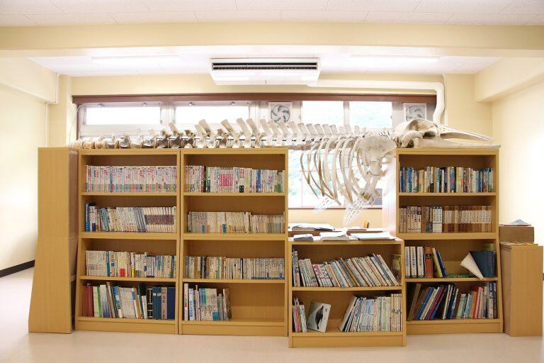 スタッフが収集した資料や標本を展示する理科室