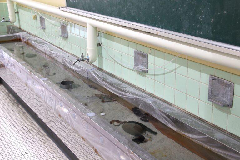 手洗い場を活用し、ヒトデやナマコと触れ合えるようにしたタッチングプール