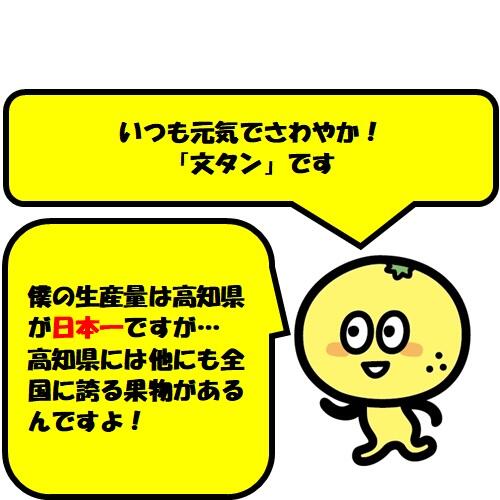 そこで今回は、土佐のイチオシ「よさこいおきゃく支店セレクション～フルーツ編～」として高知自慢の果物をご紹介します