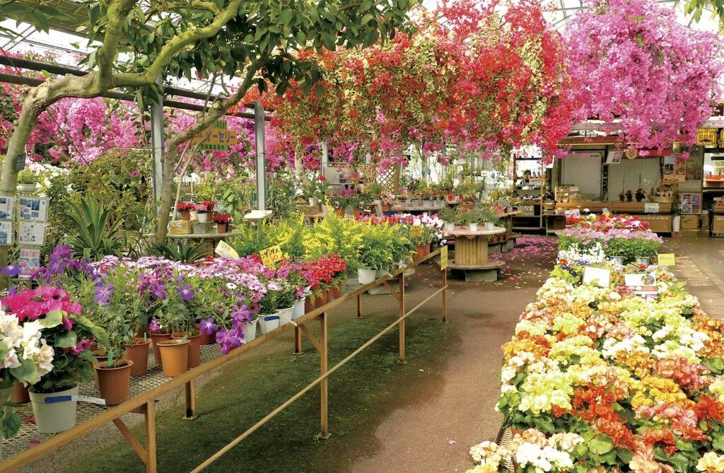 約4ヘクタールの果樹栽培用地を有する、花と果物の楽園