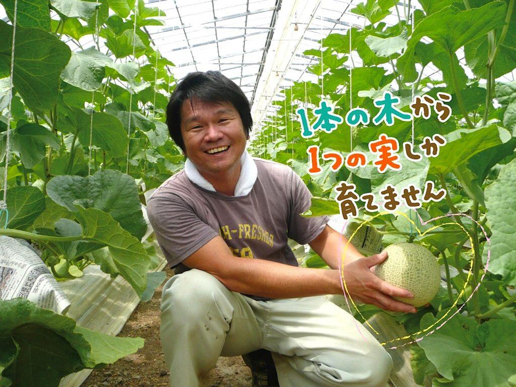 二酸化炭素（ＣＯ2）濃度などの環境制御技術を備えた大型の「次世代型園芸ハウス」を稼働させ、従前の「技術力＋環境」から「技術力＋環境＋環境制御」へと、更に高品質なマスクメロンが安定して栽培できるようになったんだそうですよ！