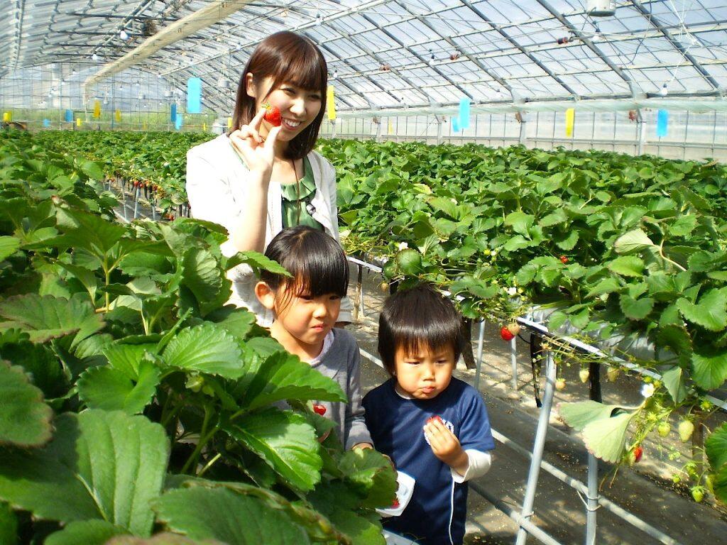 メロン収穫体験やいちご狩り、フルーツバイキングやグルメフェスタなど、四季を通じて様々なイベントも開催
