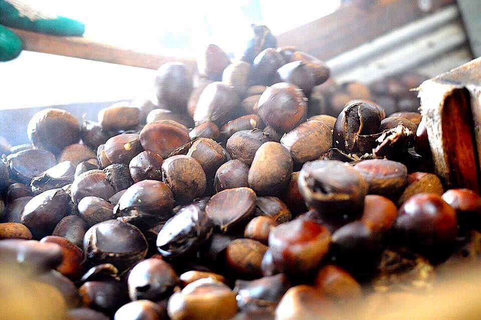 原料となる栗は地元の栗を中心に仕入れ、手作業で選別