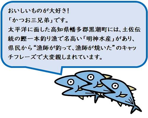 「明神水産」では、自社が所有する4隻の鰹漁船で一本釣り漁を行っており、鰹のたたきや刺身などを製造・販売しています