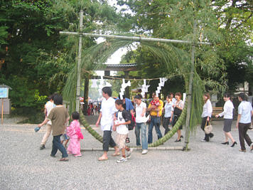 夏の終わり、志那祢様の様子です!!