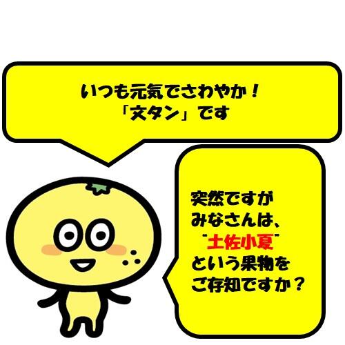 地域により「日向夏(ひゅうがなつ)」や「ニューサマーオレンジ」とも呼ばれる柑橘類で、高知県では土佐小夏という名称で子どもからお年寄りまで幅広い年代に親しまれています。