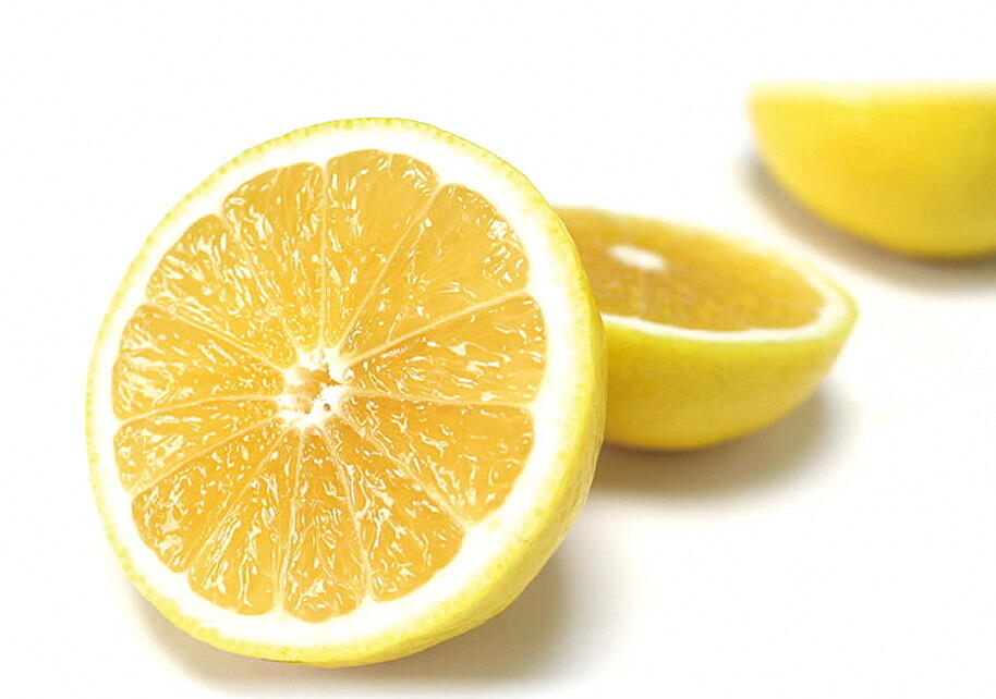 南国土佐の太陽の光をいっぱい浴びて育った土佐小夏