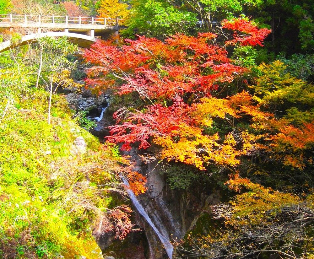 七福神がお出迎え、中津渓谷の仁淀ブルーと紅葉