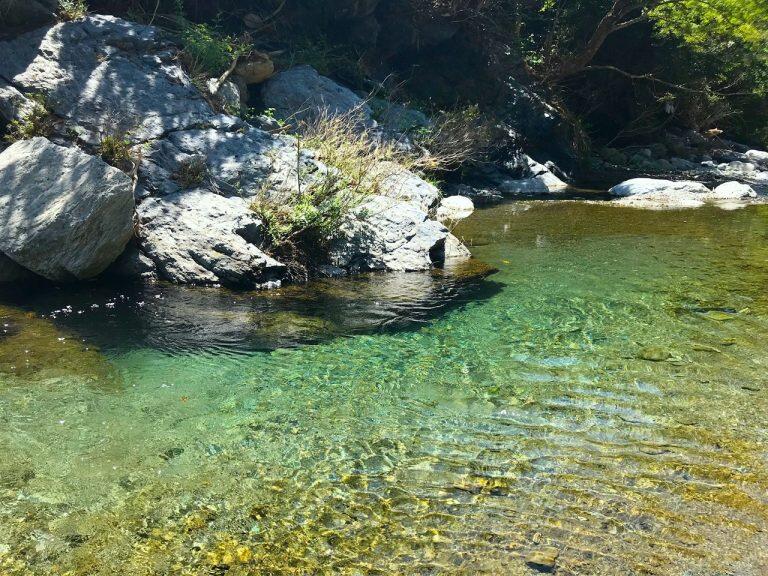 春にはセリやタラ、秋には栗やカボチャなど、季節折々の味わいを楽しめるのも魅力ですよ♪