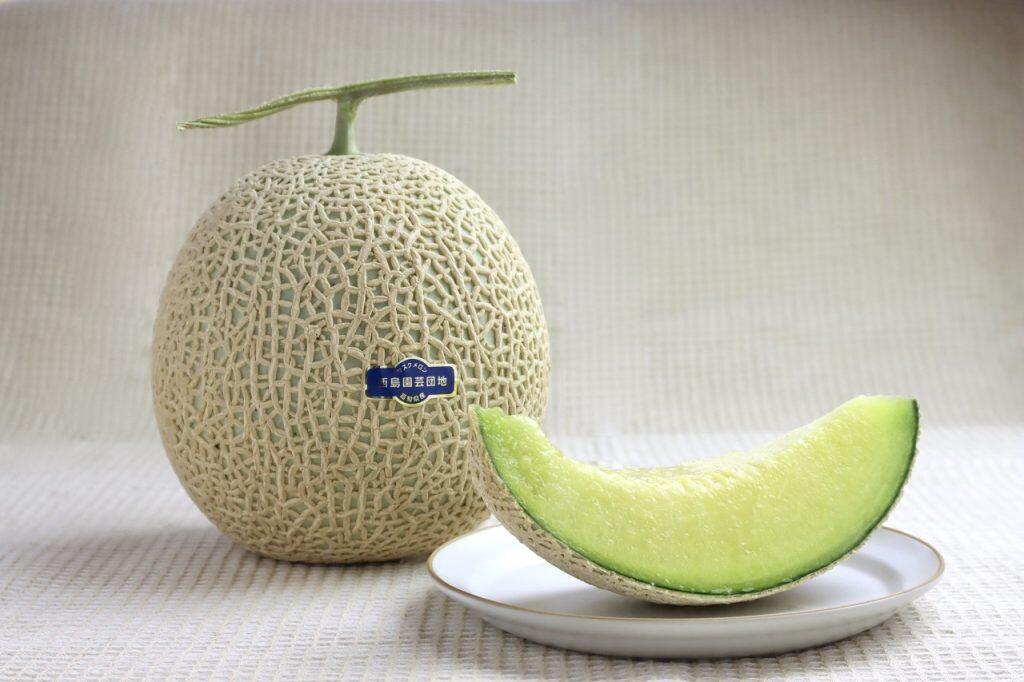 花と果物の楽園「西島園芸団地」の果汁滴るマスクメロン！
