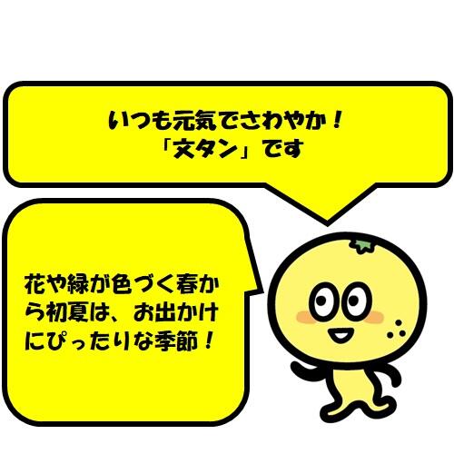 花と果物の楽園「西島園芸団地」の果汁滴るマスクメロン!