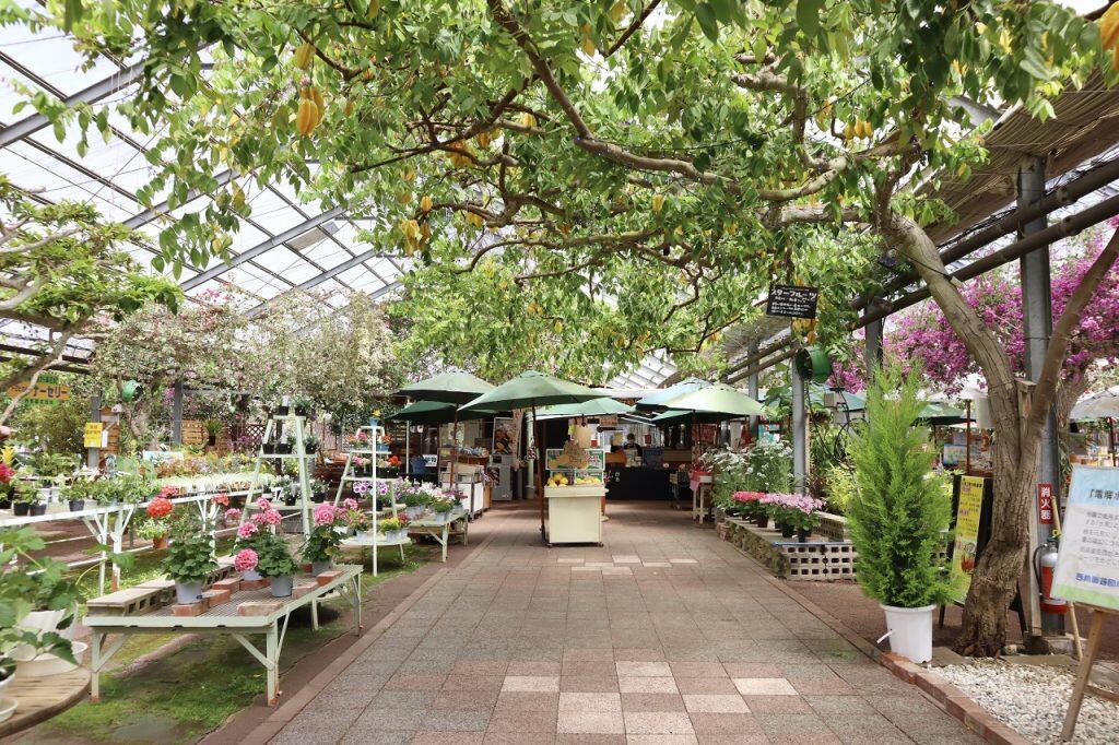 園内には、フラワーエリア、カフェエリア、ショッピングエリア、キッズエリア