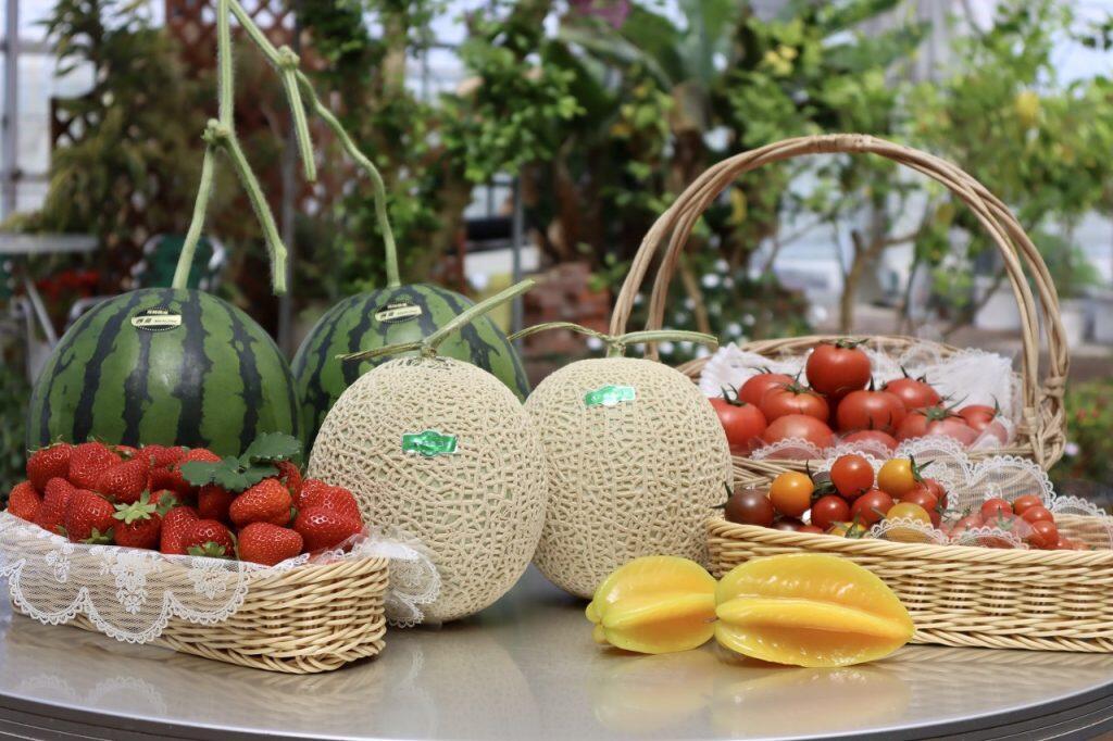 園内には、フラワーエリア、カフェエリア、ショッピングエリア、キッズエリア