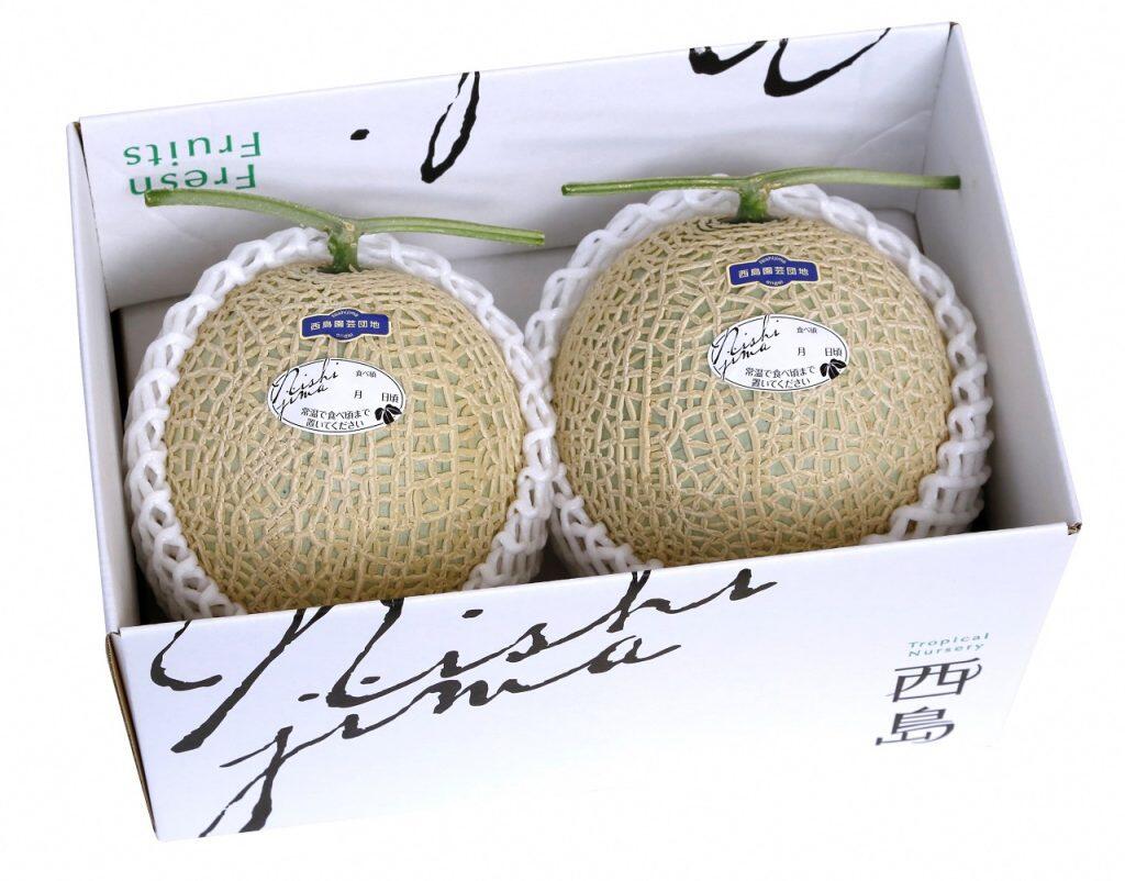 果実が大きくなると、傷がつかないように紐で吊り上げるなど、品質にもこだわり抜いています。