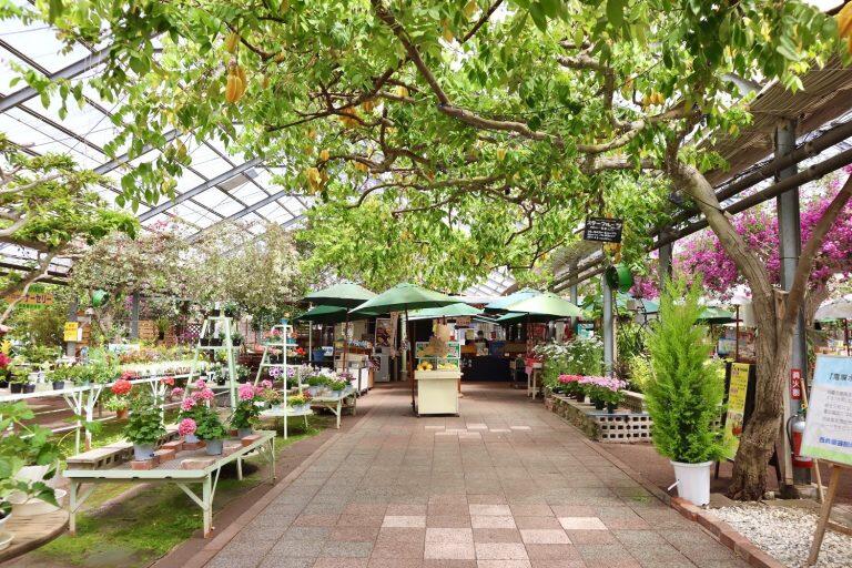 お花や植物を鑑賞できるフラワーエリア、スイーツやランチが味わえるカフェエリア、フルーツや加工品を購入できるショッピングエリア、子どもたちが遊べるキッズエリア、イチゴ狩り体験ができるハウス
