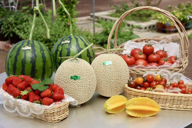 子どもから大人まで楽しめる「西島園芸団地」にお出掛けしよう♪