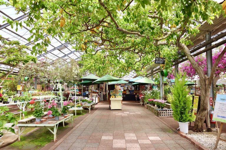 「西島園芸団地」で育てられたシャリシャリ食感の甘〜いスイカ♪
