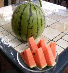 『小玉スイカ』は、果皮が薄く果肉がたっぷりで、シャリっとした食感と凝縮した甘みが楽しめます