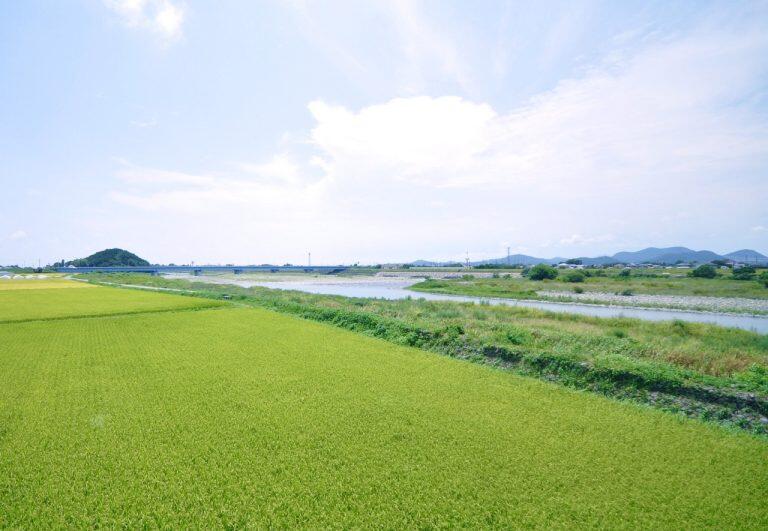 高知県の中東部を流れる物部川のほとりにある飼育場