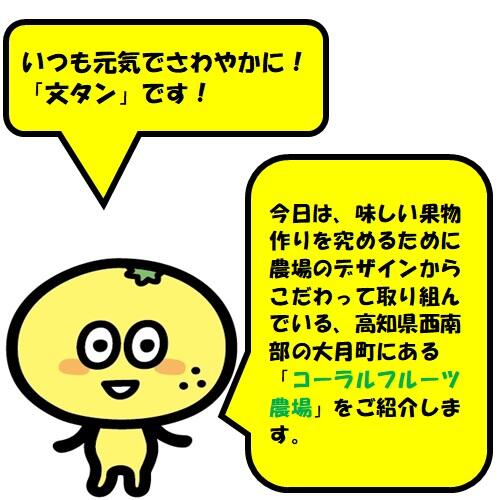 今日は、土佐のイチオシ「よさこいおきゃく支店セレクション~フルーツ編~」の第2弾!美味しい果物作りを究めるために、農場のデザインからこだわって取り組んでいる、高知県西南部の大月町にある「コーラルフルーツ農場」をご紹介します
