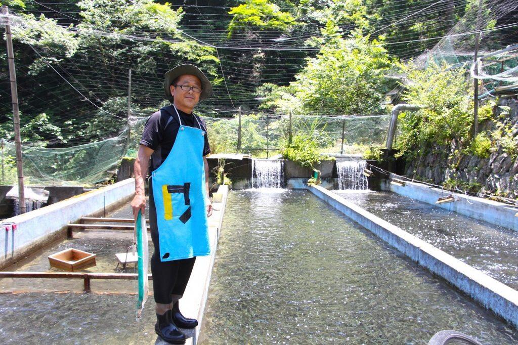 「ユズアマゴ」は、現在2代目の片岡さんが、魚特有の臭みを抑えるため、餌に柑橘類を混ぜて育てる