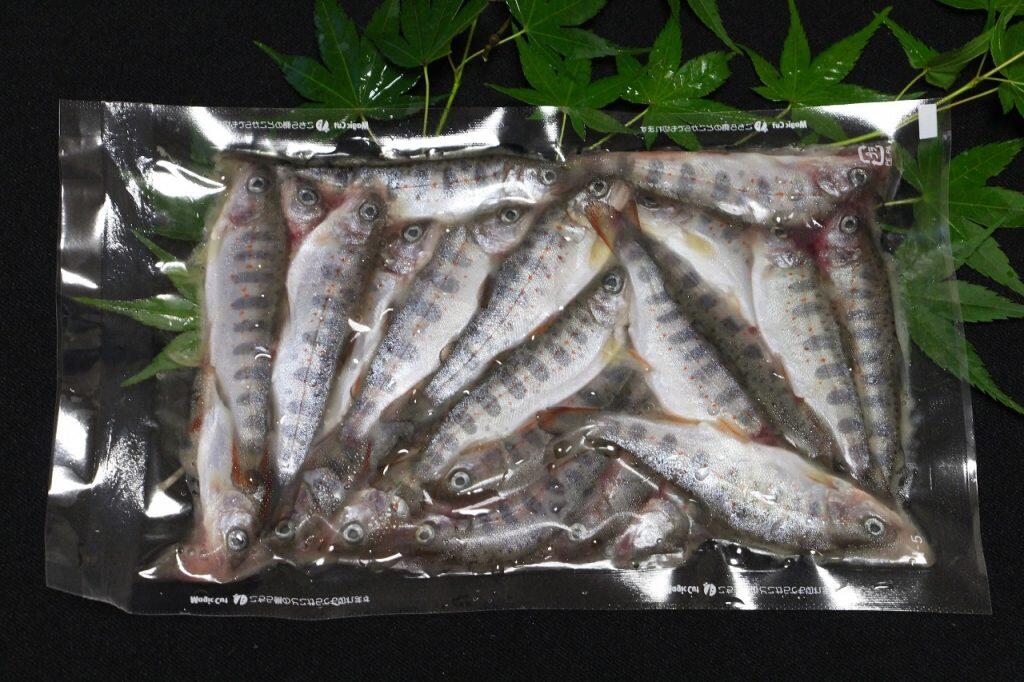 「ユズアマゴ」の旬は8〜11月で、体長18〜20cm、重さ80〜100gになるそうです。