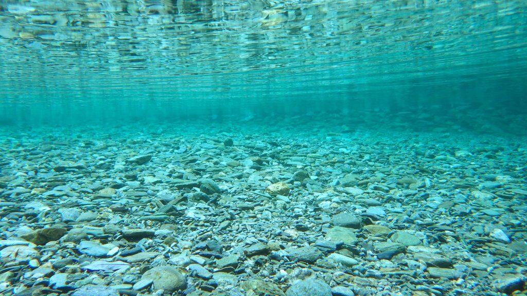 鮮やかな紅葉と奇跡の清流を見に行こう!