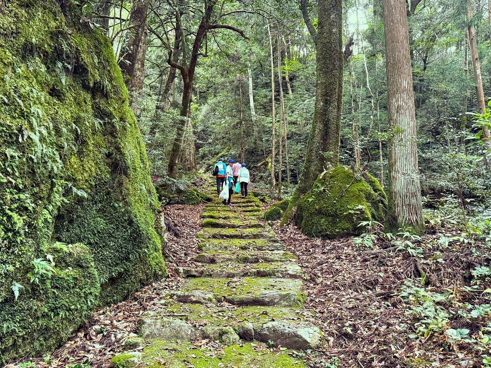 仁淀川近辺清掃活動の様子_2/仁淀鉄鋼株式会社/仁淀川清掃ボランティア活動