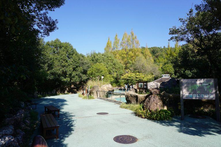 園内は「温帯の森」、「熱帯の森」、「アフリカ・オーストラリア」、「ジャングルミュージアム」など各ゾーンに分けられており、そこで生息する動物たちの生態を学ぶことができます