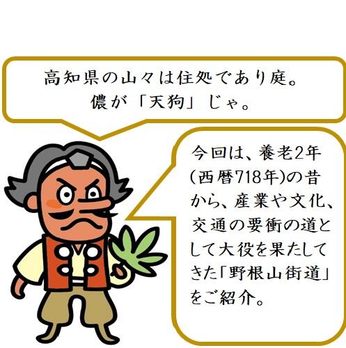 土佐と阿波を結んだ官道「野根山街道」