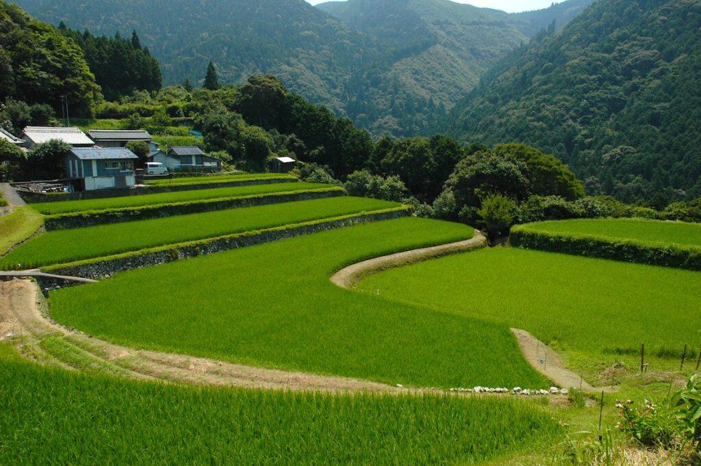 街道中の最高峰(1082m)にある展望台や米ヶ岡田園風景など、見晴らしの良いスポットもたくさん!
